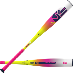 EASTON THE DUB -10 USSSA BASEBALL BAT